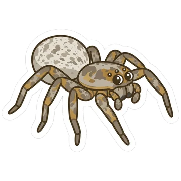 Sticker of African social spider