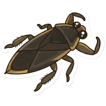 Sticker of Asian giant water bug