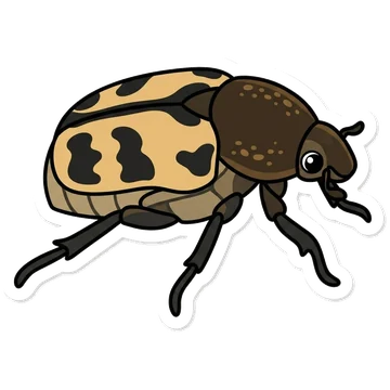 Kleeps: Karuspõrnikas