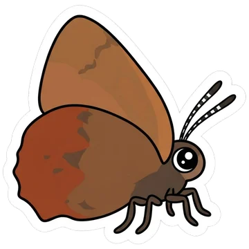 Sticker of Brown elfin