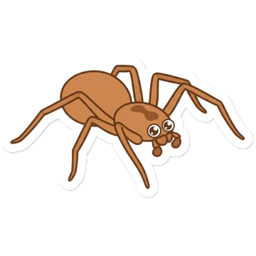 Brown recluse