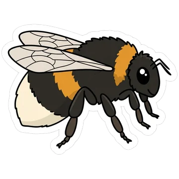 Buff-tailed bumblebee