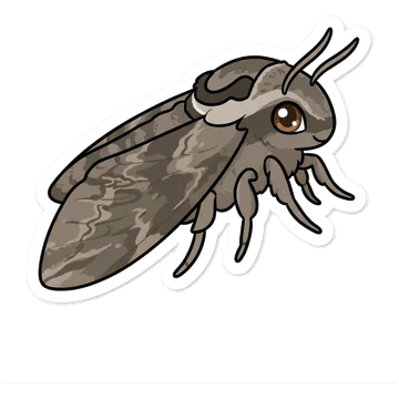 Sticker of Catalpa sphinx