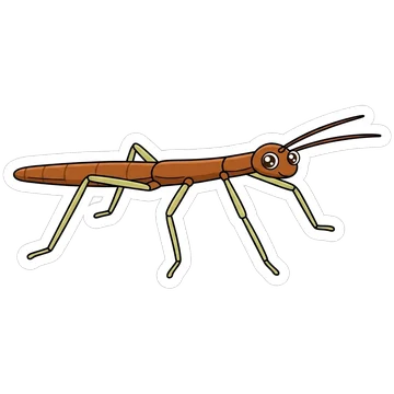 Sticker of Common walkingstick