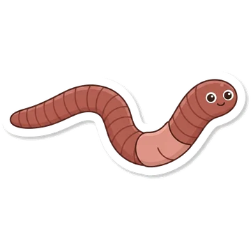 Sticker of European nightcrawler
