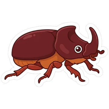 Sticker of European rhinoceros beetle