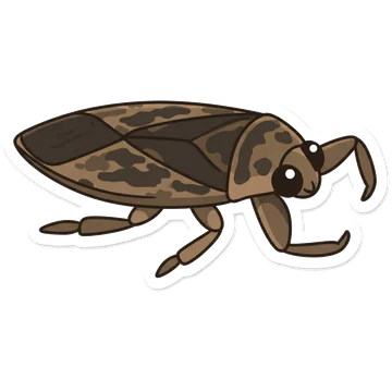 Sticker of Giant water bug