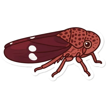 Sticker of Glassy-winged sharpshooter