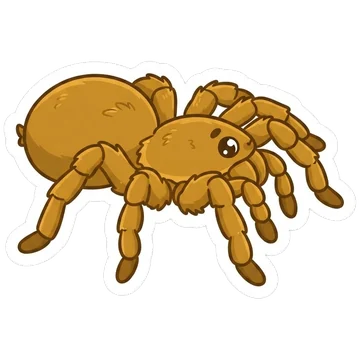 Goliath birdeater