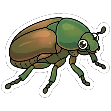 Sticker of Green June beetle