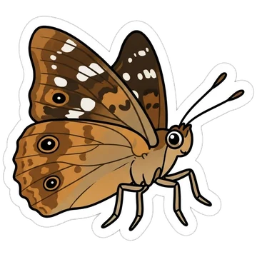 Sticker of Hackberry emperor