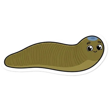 Sticker of Horse leech