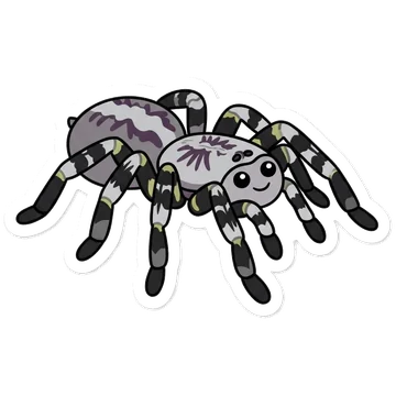 Sticker of Indian ornamental tarantula