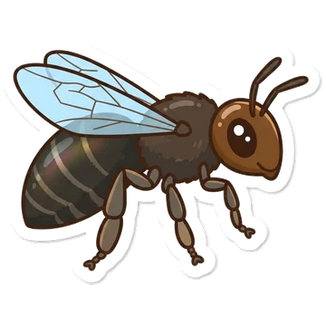 Sticker of Indian stingless bee