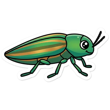 Sticker of Japanese jewel beetle