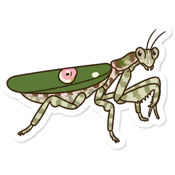 Sticker of Jewelled flower mantis