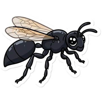Sticker of Mexican grass-carrying wasp