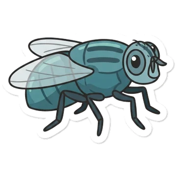 New World screwworm fly