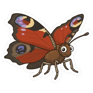 Peacock butterfly