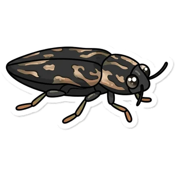 Sticker of Sculptured pine borer