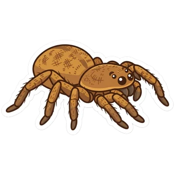 Sticker of Six-eyed sand spider