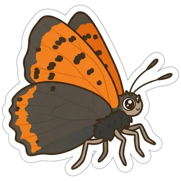 Sticker of Small copper