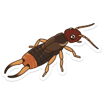 Sticker of Striped earwig
