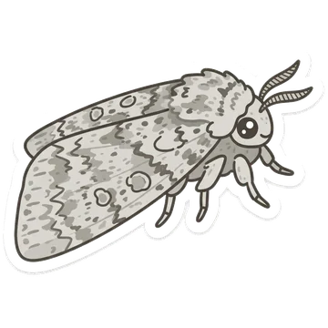 Sticker of Sycamore moth