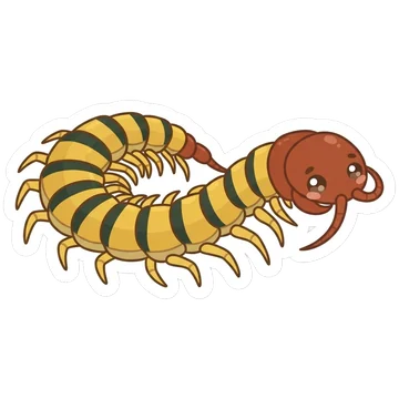 Sticker of Tiger centipede