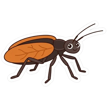 Sticker of Violin beetle