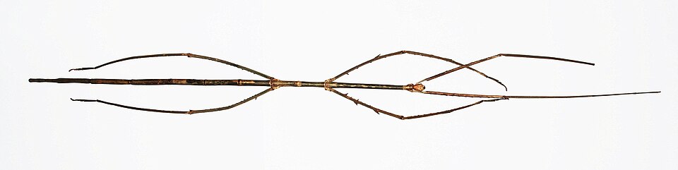 Photo of Chan's megastick